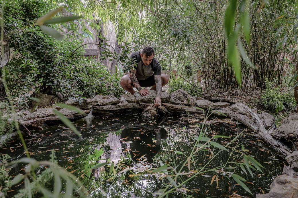 Dušan Džakić vrt koji podseća na džunglu usred Zemuna FOTOGRAFIJE