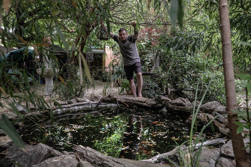 Dušan Džakić vrt koji podseća na džunglu usred Zemuna FOTOGRAFIJE