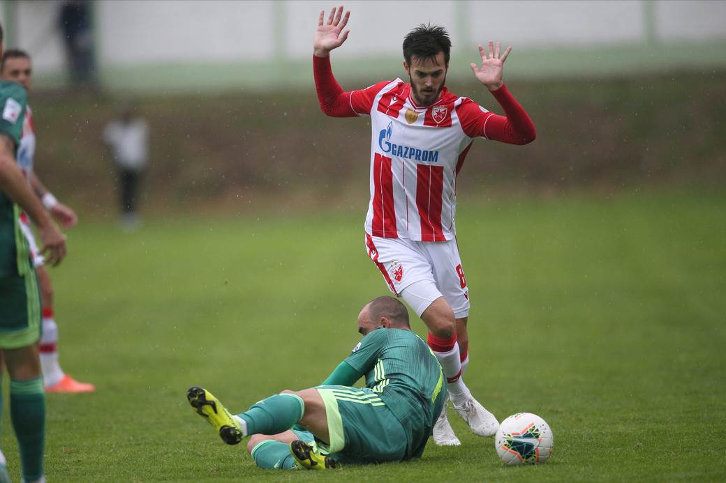 Vujadin Savić Crvena zvezda kapiten i navijač