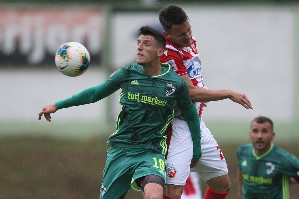 Vujadin Savić Crvena zvezda kapiten i navijač