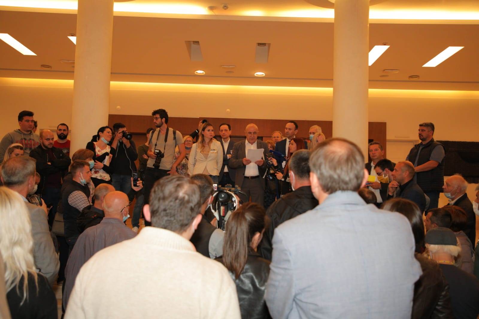 Demokratska stranka Glavni odbor novo rukovodstvo Vida Ognjenović