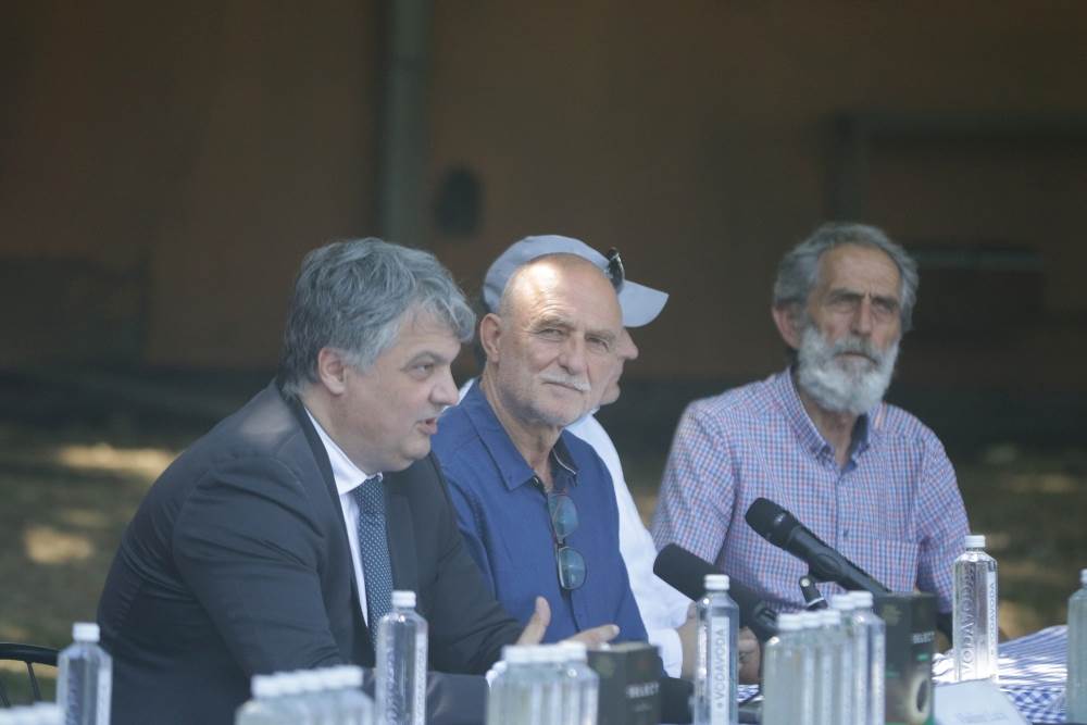 Dejan Stanković Nenad Milijaš serija Drim tim uloge 