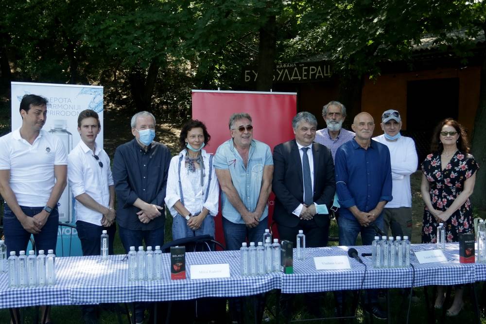 Dejan Stanković Nenad Milijaš serija Drim tim uloge 