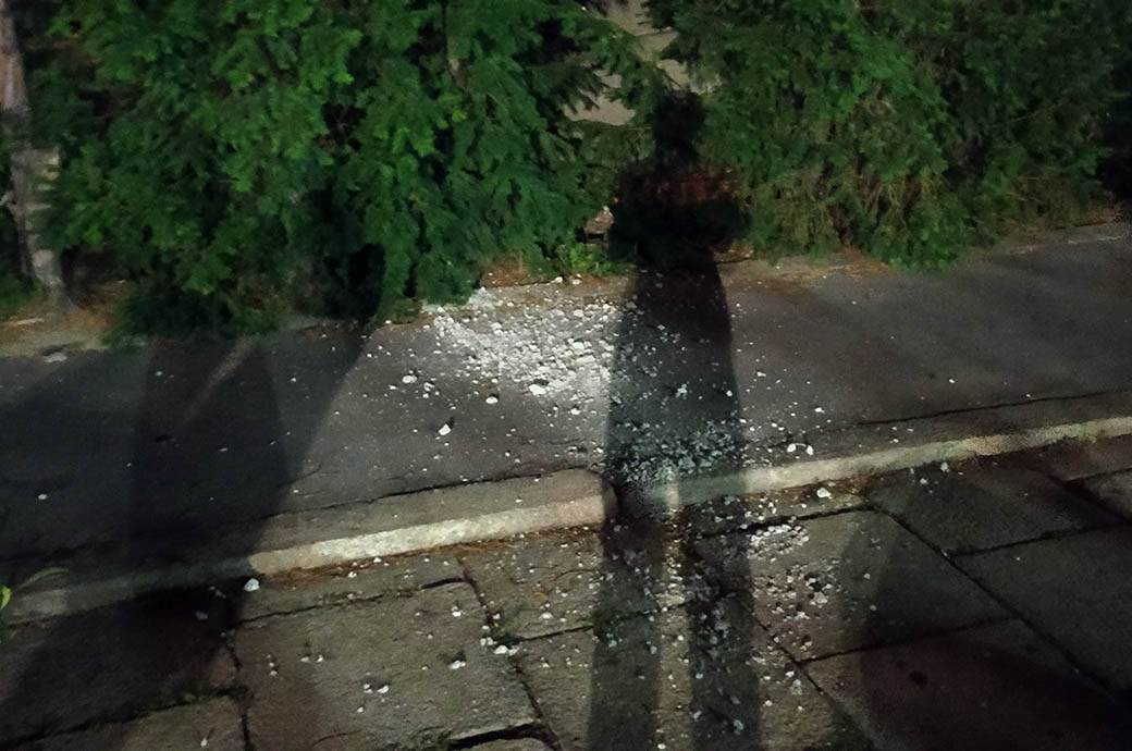 Dragan Marković Palma o protestima ispred Skupštine