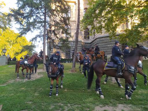 Protest Beograd uživo prenos live stream demonstracije Skupština 2020