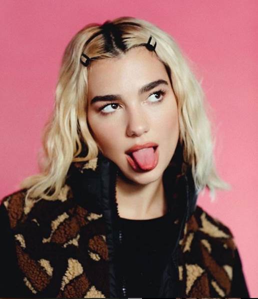 Dua Lipa ajvar leskovački ajvar Dua Lipa video tužba