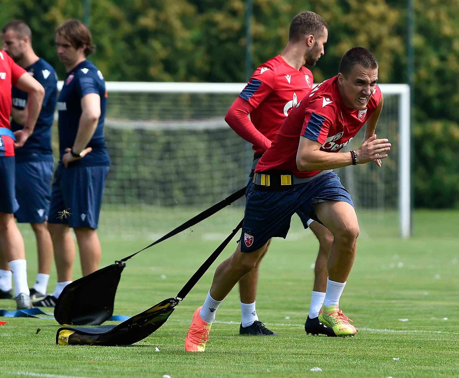 Crvena zvezda pripreme Stara Pazova FSS