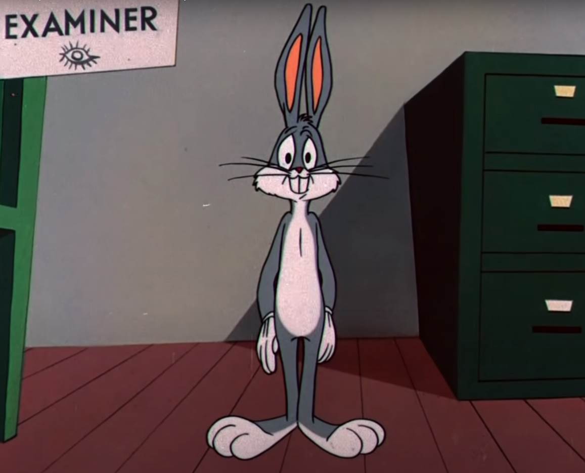 Duško Dugouško crtaći crtani filmovi najbolje scene VIDEO