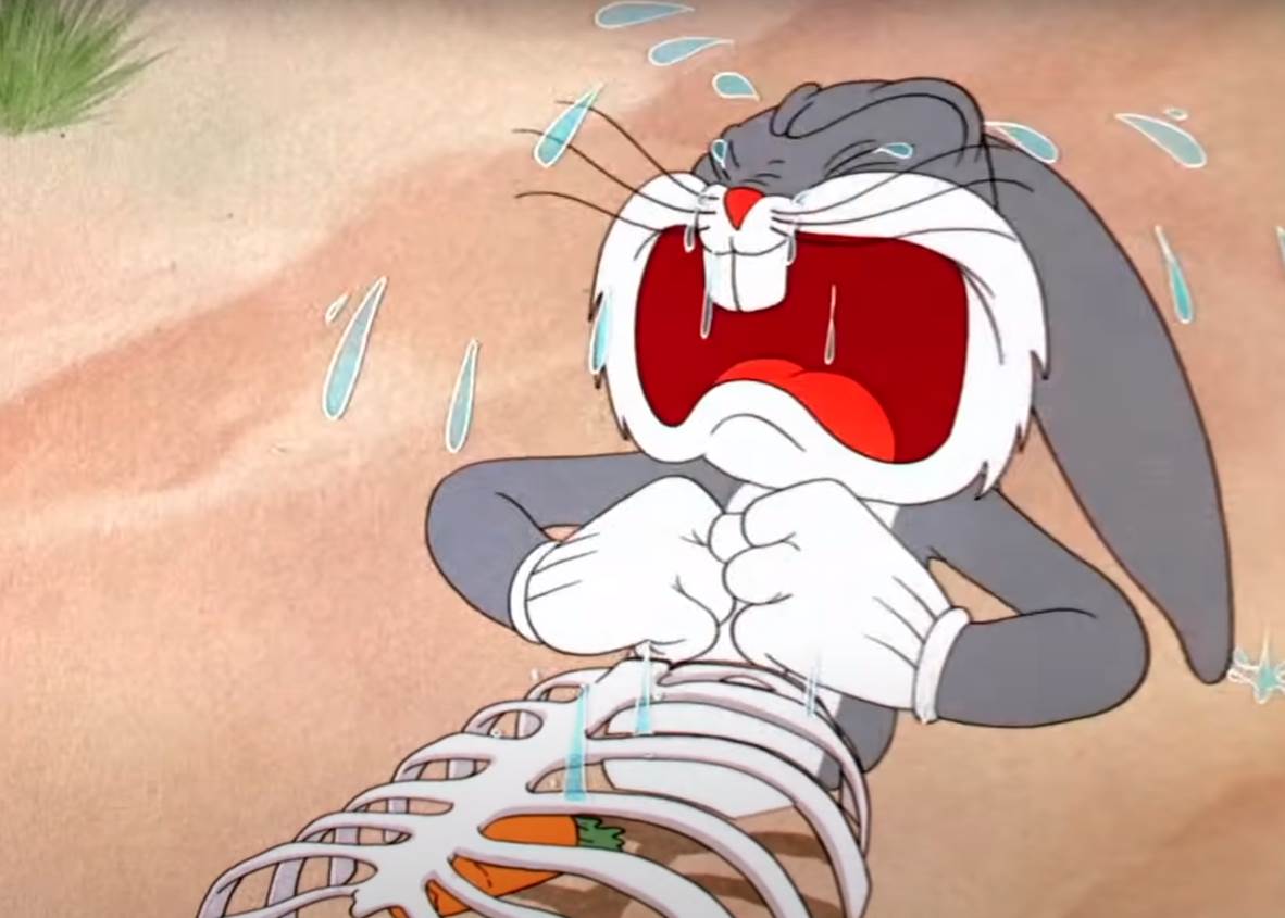 Duško Dugouško crtaći crtani filmovi najbolje scene VIDEO