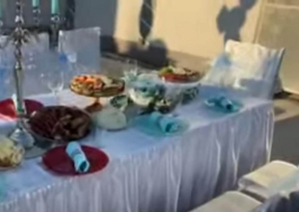 Miljana Kulić rođendan mali Željko Zola 