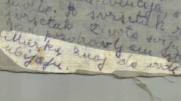 Blagoje Jovović Ante Pavelić atentat ustaše zločin pismo logor Jelica Gvozdenac baka Vera