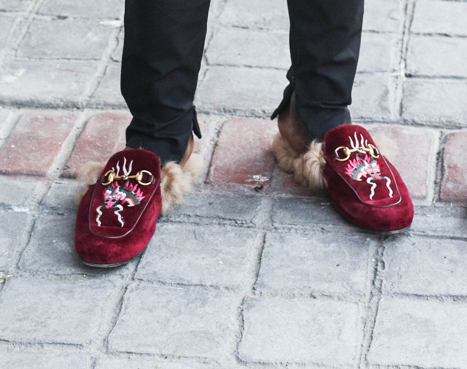 gelor kanga crvena zvezda falsifikovan pasos svi incidenti u proslosti