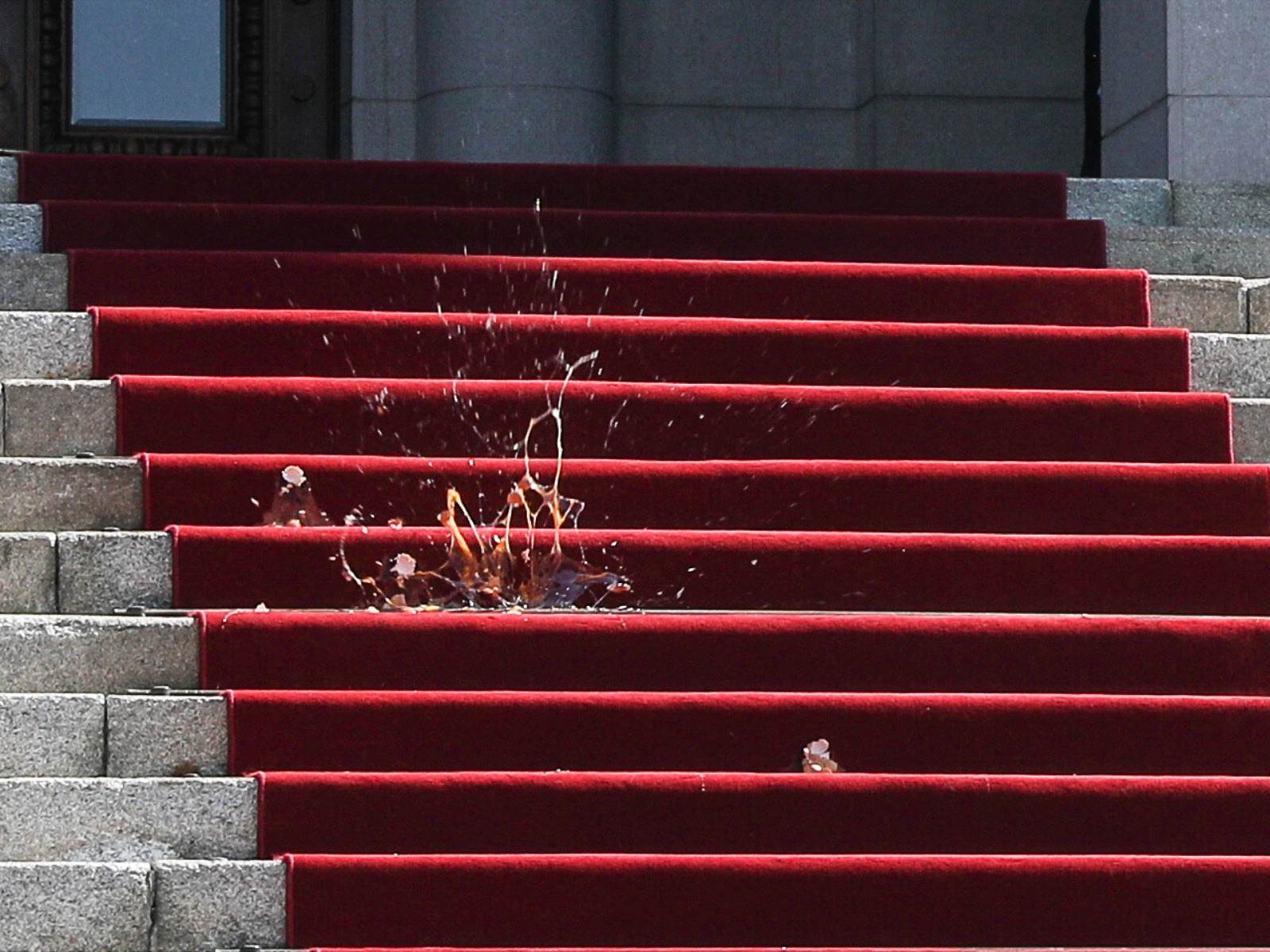 Skupština Srbije novi saziv protesti jaja hapšenje Radulović raspop Antonije FOTOGRAFIJE