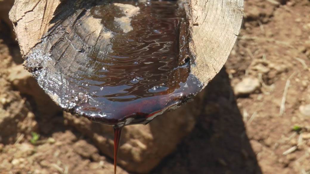 zlatibor katran pravljenje selo čajetina fotografije