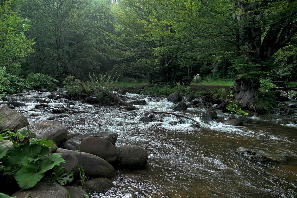 Stara planina turizam Srbija kanjon vodopad pećine vidikovci fotografije