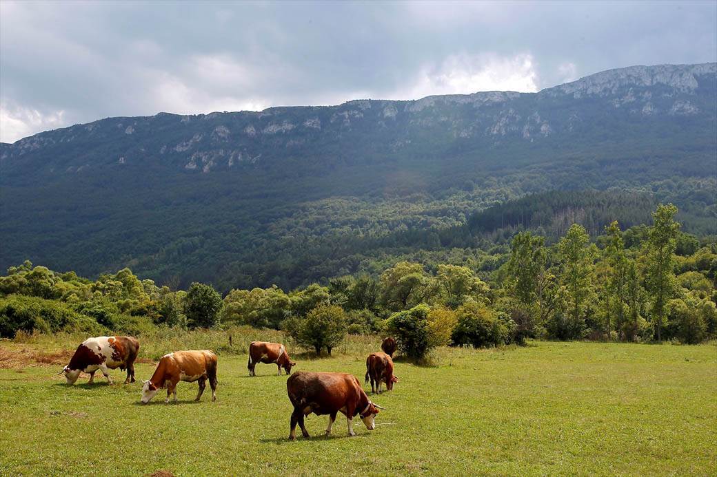 Stara planina turizam Srbija kanjon vodopad pećine vidikovci fotografije