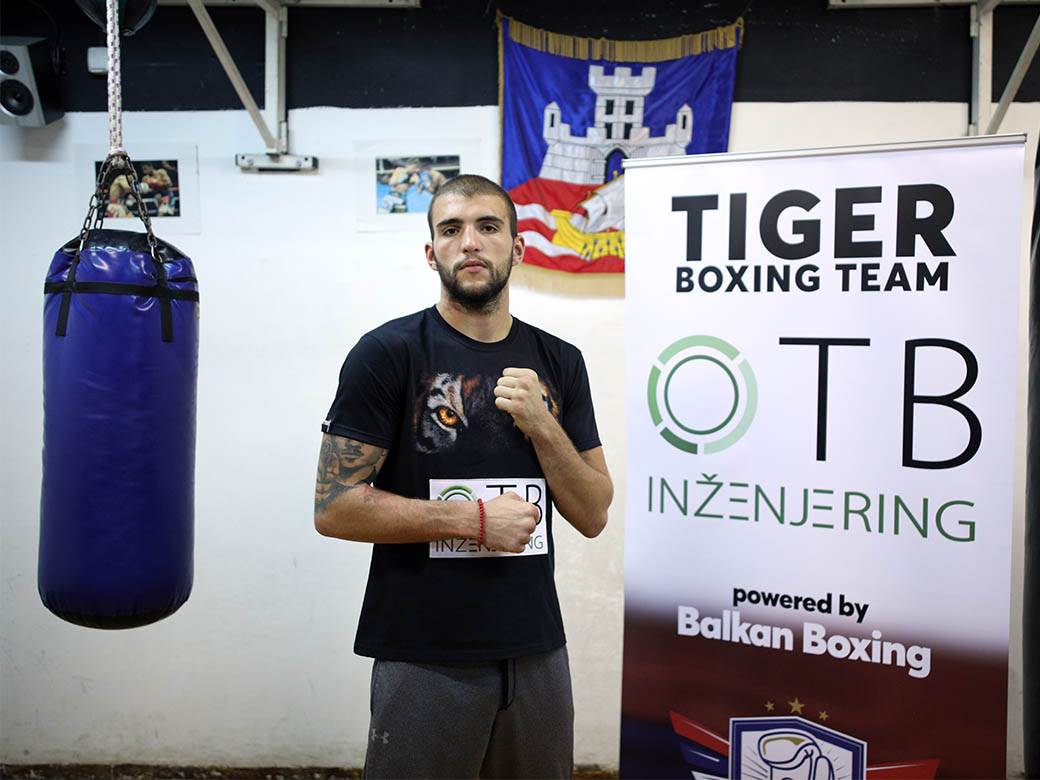 veljko raznatovic boks karijera 