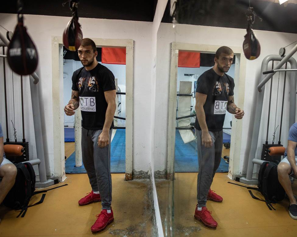 veljko raznatovic boks karijera 