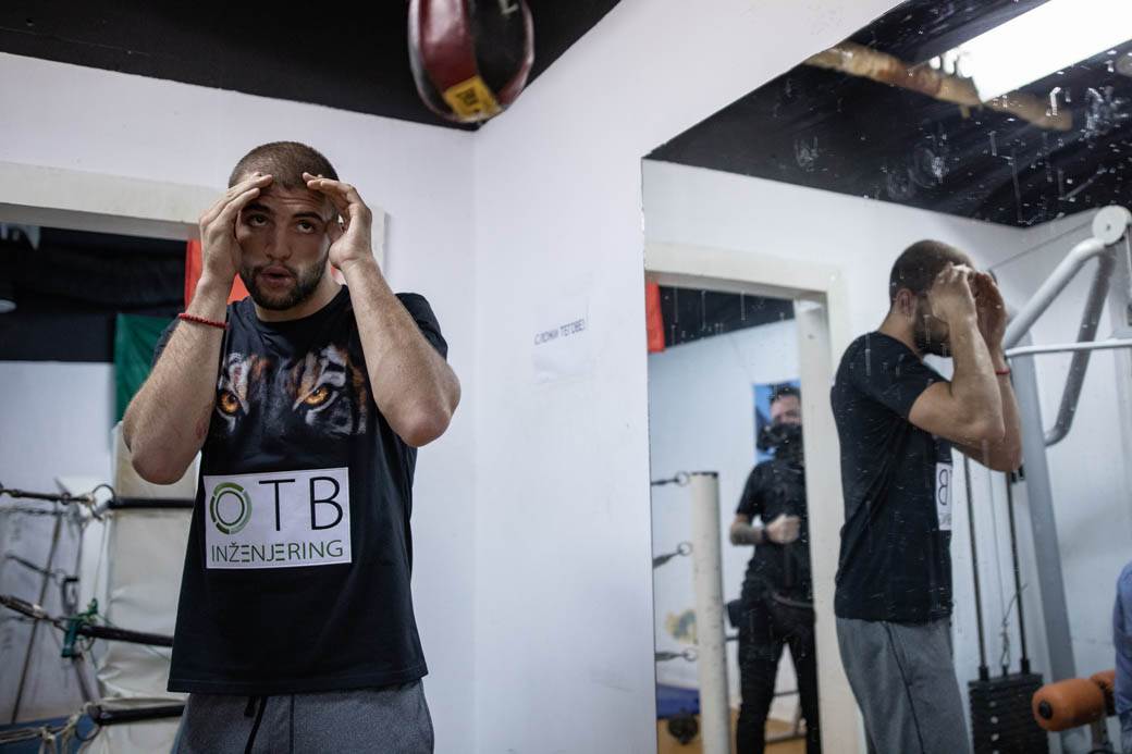 veljko raznatovic boks karijera 