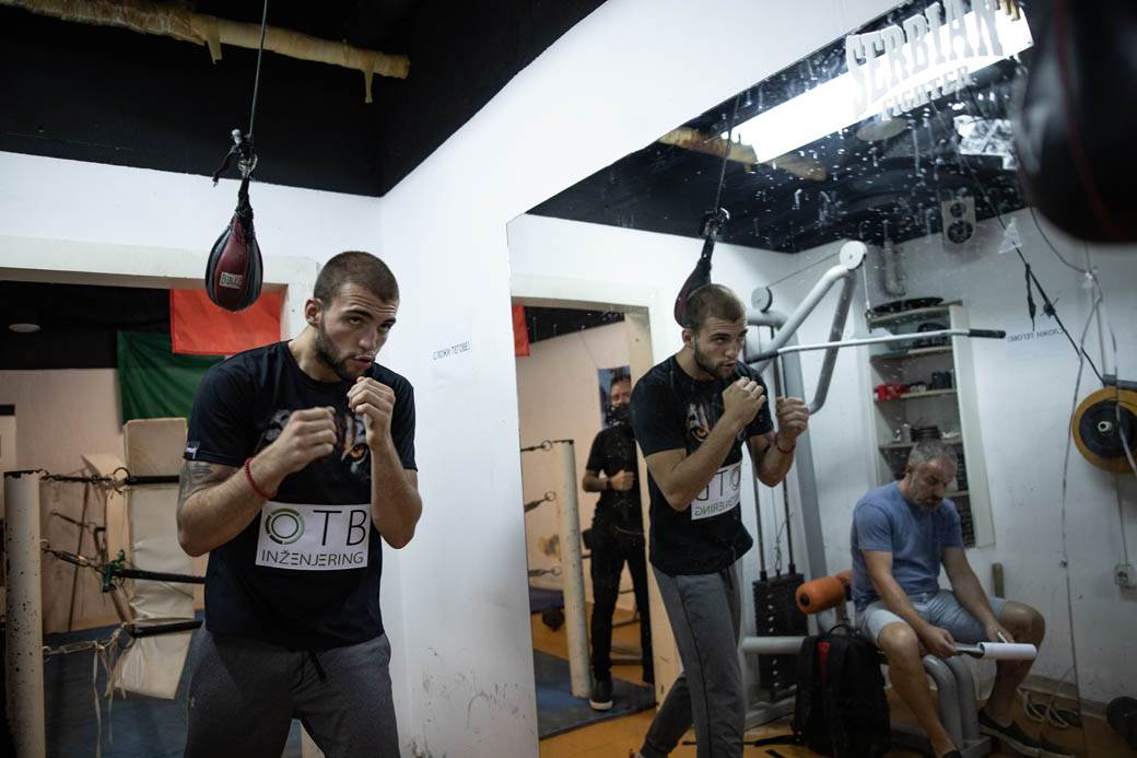 veljko raznatovic boks karijera 