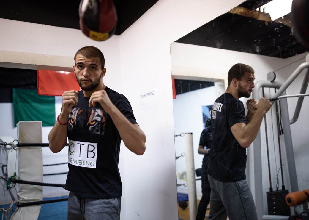 veljko raznatovic boks karijera 