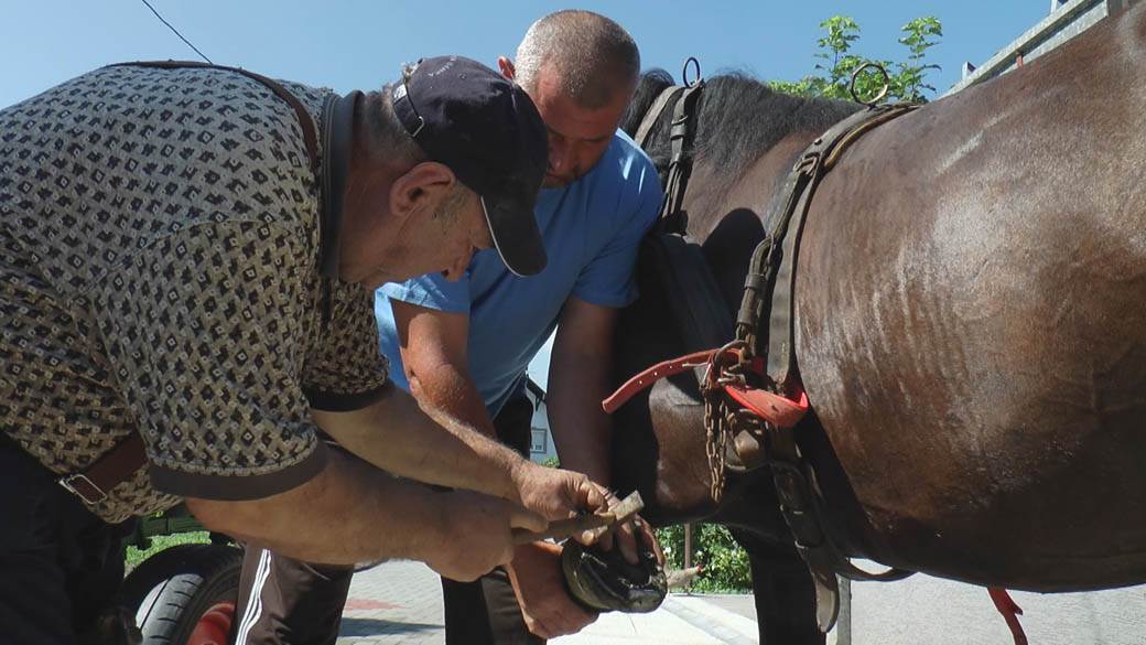 Potkovice izrada potkivač konja Miloš fotogafije