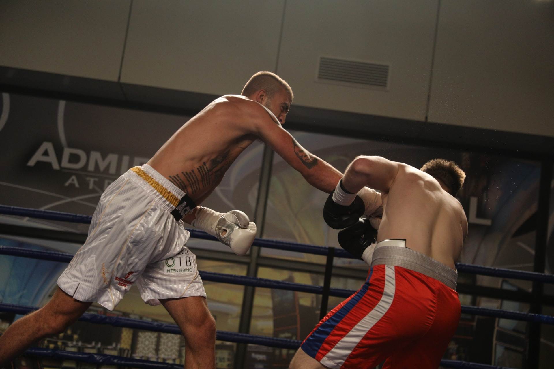 Veljko Ražnatović o porodici