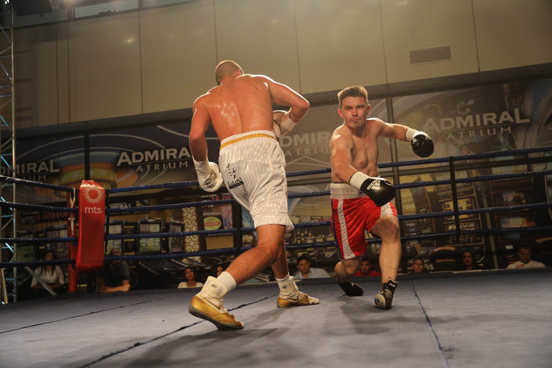 Veljko Ražnatović o porodici