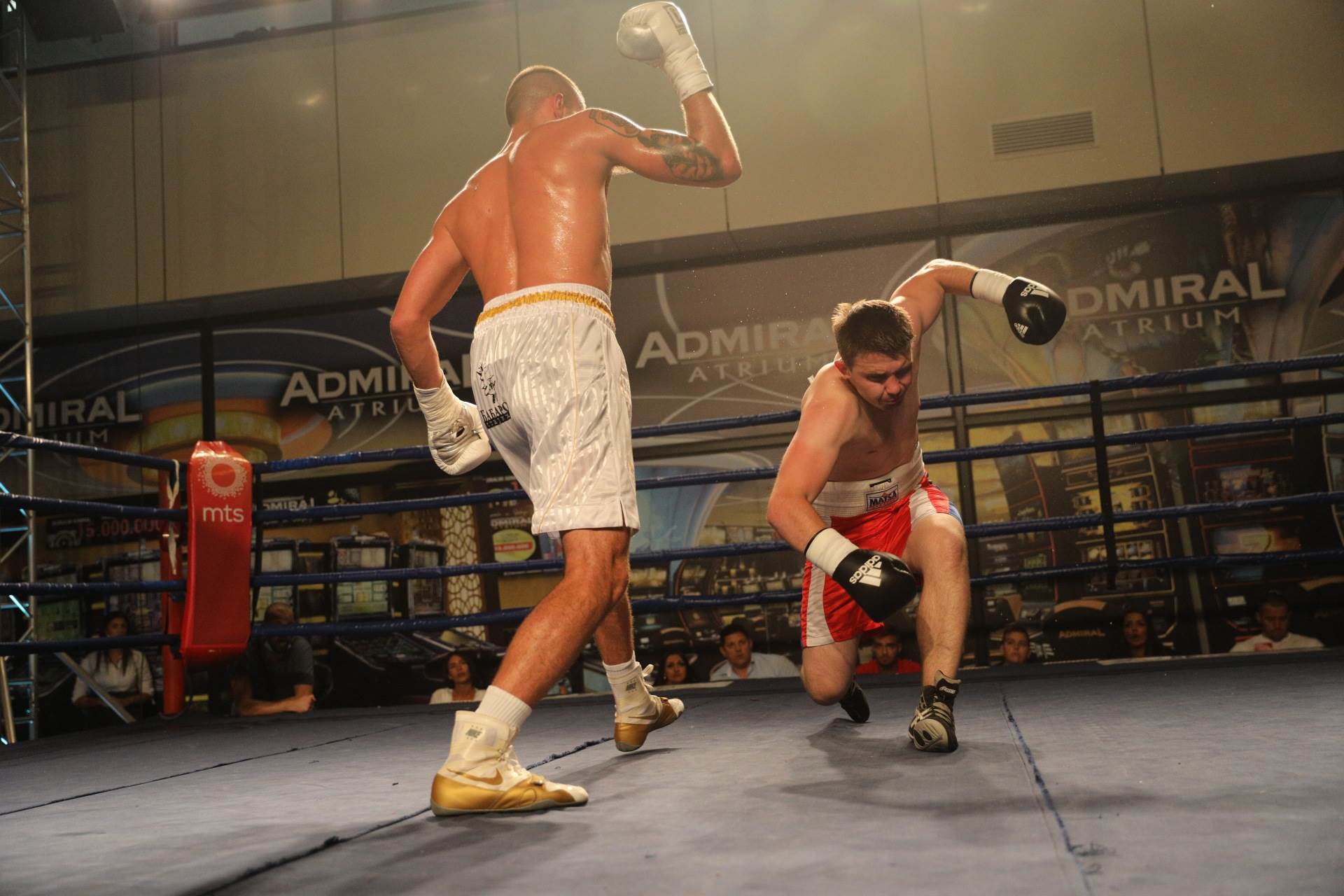 Veljko Ražnatović o porodici