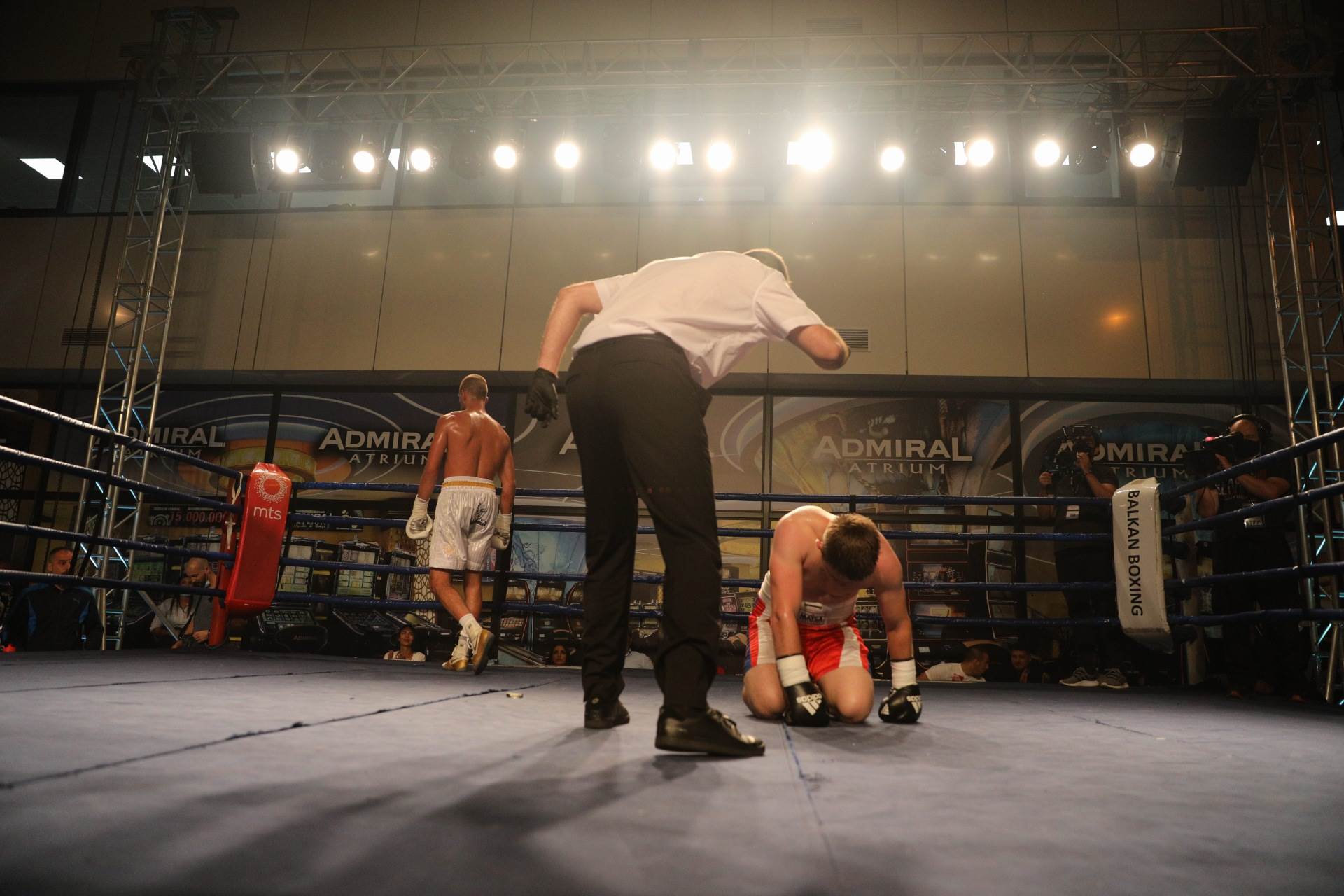 Veljko Ražnatović o porodici