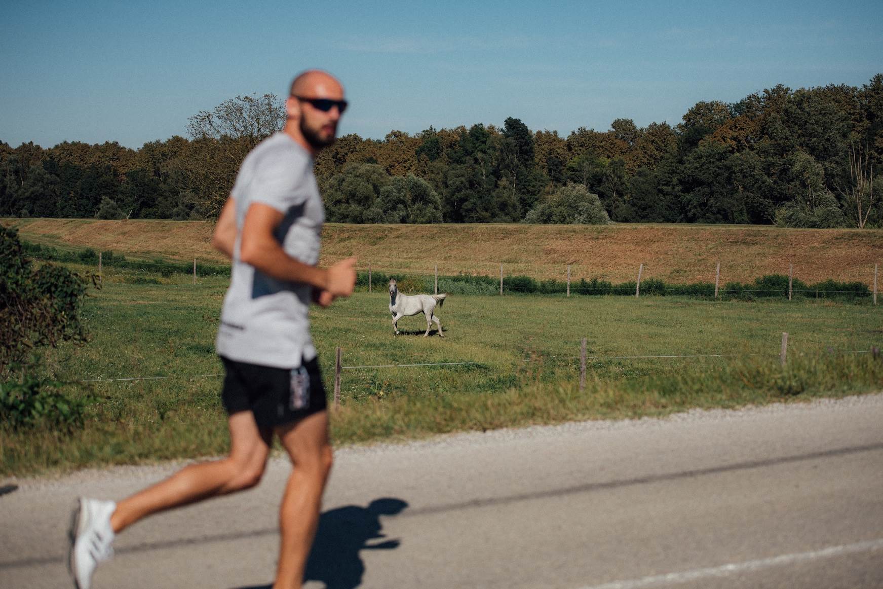 adidas Runners Belgrade trka Zagreb Beograd