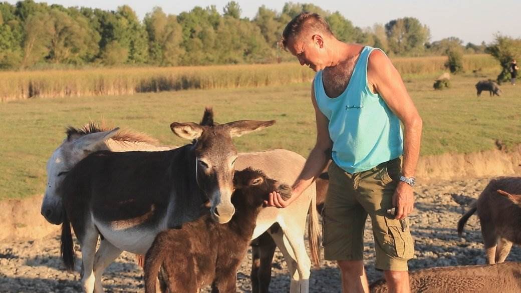 Najskuplji sir na svetu u Srbiji sir Sremska Mitrovica