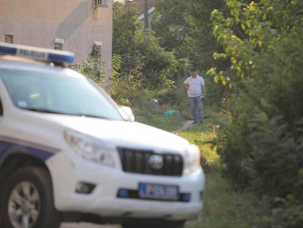 stek kuca u kotezu velja nevolja