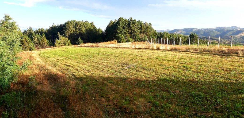 Pranjani Aleksandar Vučić plac