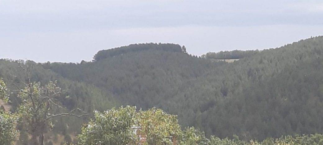 Pranjani Aleksandar Vučić plac