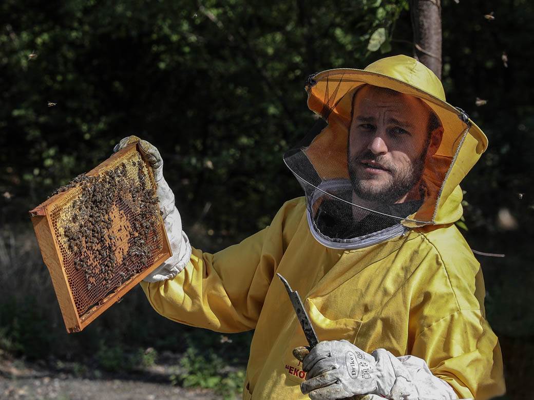 Pčelarstvo pčele u Beogradu med košnice na Dorćolu