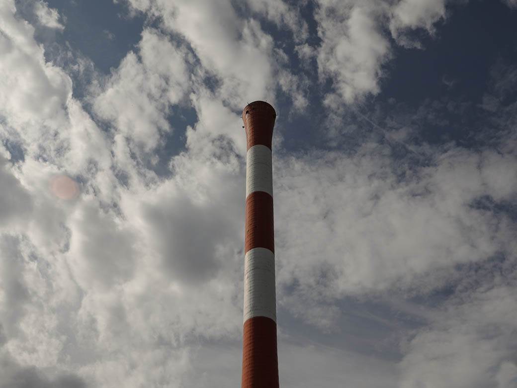 Pčelarstvo pčele u Beogradu med košnice na Dorćolu