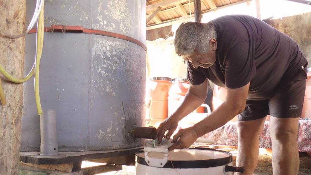 Rakija šljivovica proizvodnja Srbija fotografije