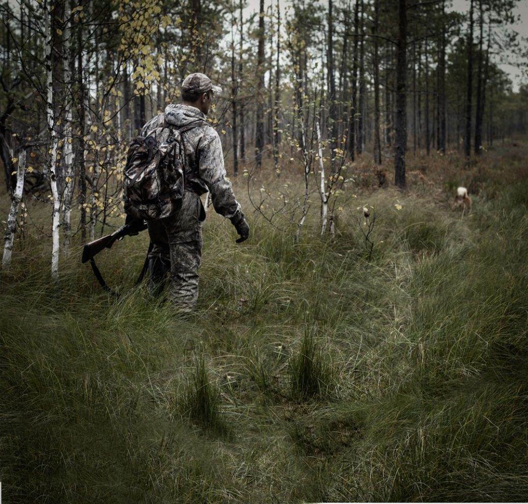 Virus srbija zemlja visokog rizika afrička kuga svinja