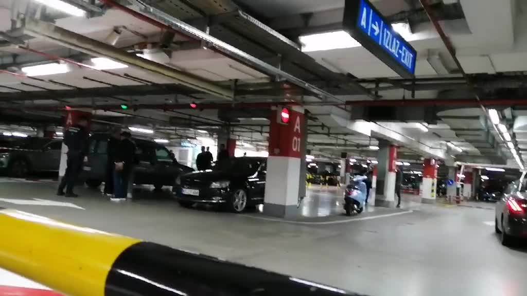 ubistvo goran velickovic goksi velja nevolja goksi janger