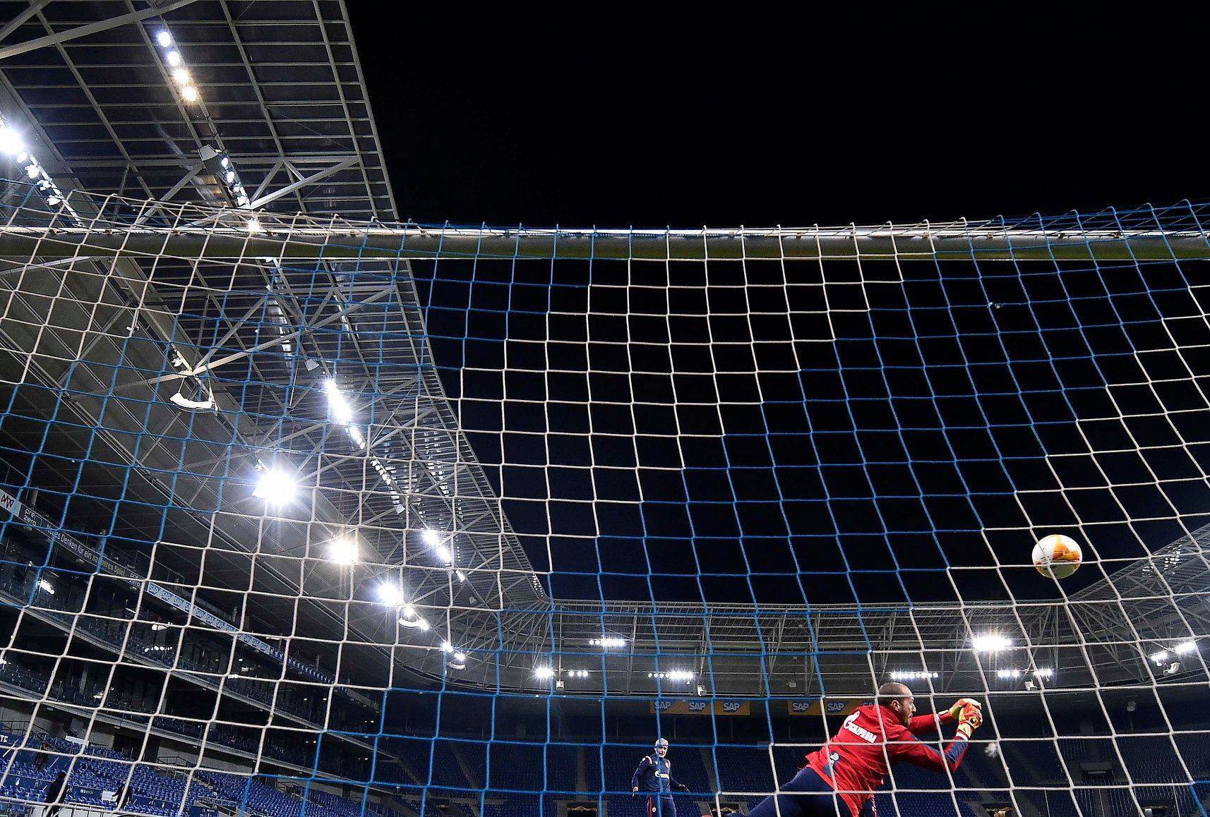 crvena zvezda trening bez publike hofenhajm nemačka foto