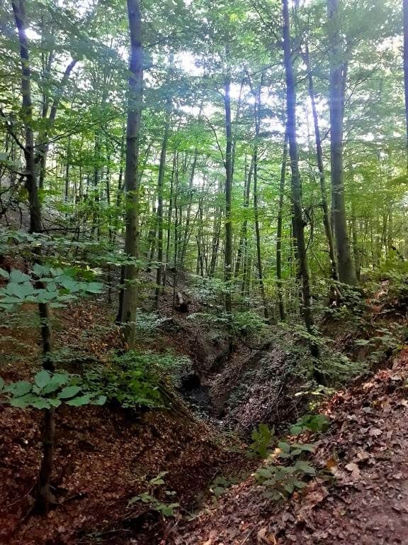 Sveta Petka lekoviti izvor kod topole