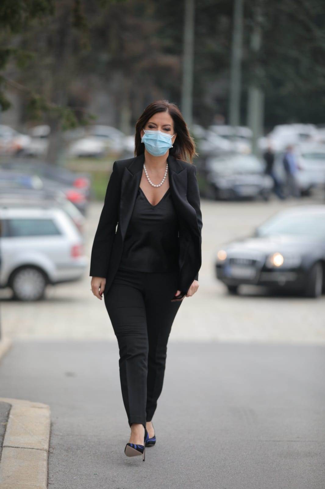 nova vlada-ana brnabic-ekspoze-predstavljanje clanova