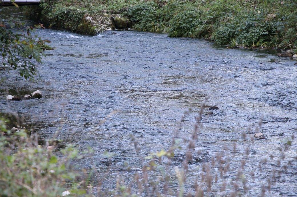 planina tara perucac reka godina