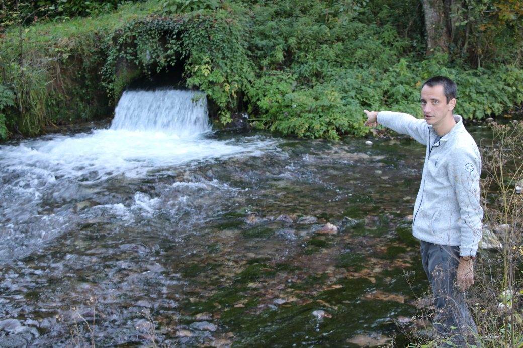 planina tara perucac reka godina