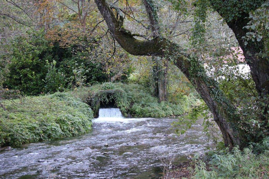 planina tara perucac reka godina