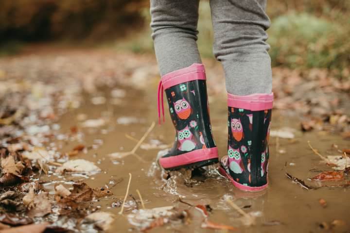 bobija ljubovija azbukovica