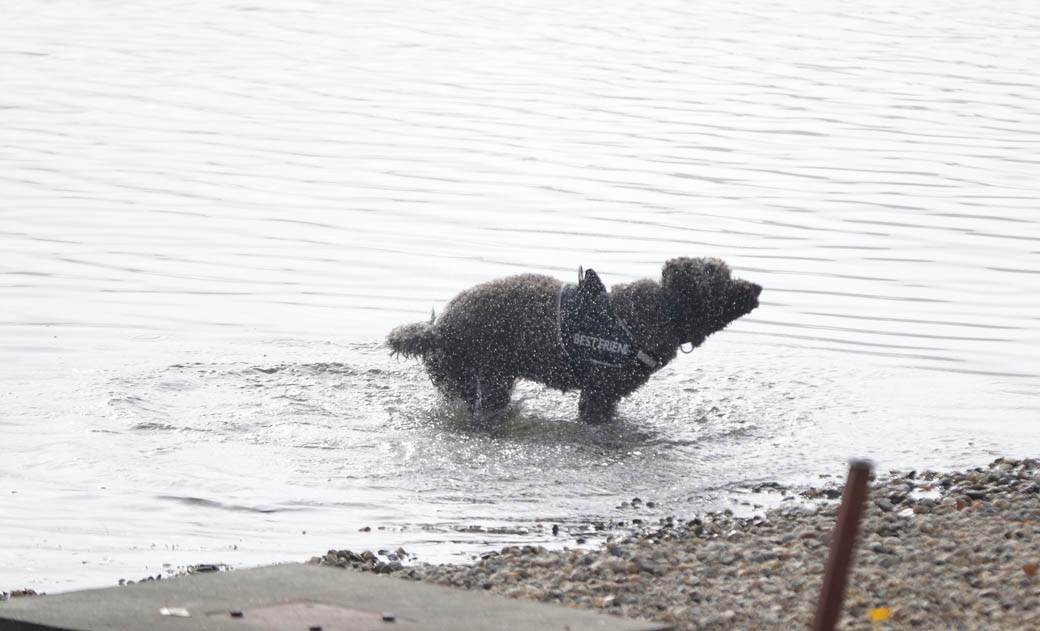 beograd zagadjen vazduh magla ada ciganlija fotografije
