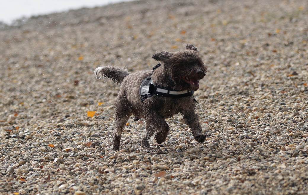 beograd zagadjen vazduh magla ada ciganlija fotografije