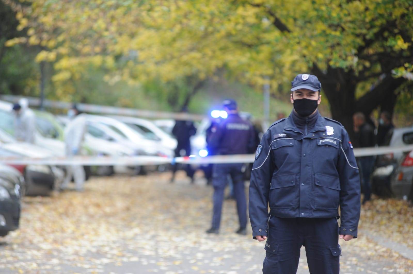 ubistvo vedran repcic majka 